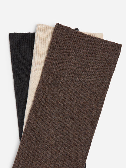 Supima Cotton Rib Socks Set of 3 pairs - Brown - Image 2