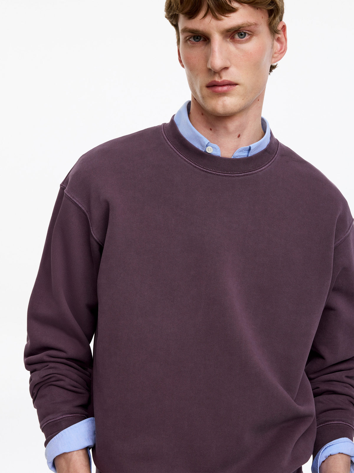 Relaxed Sweatshirt - Purple - Image 4