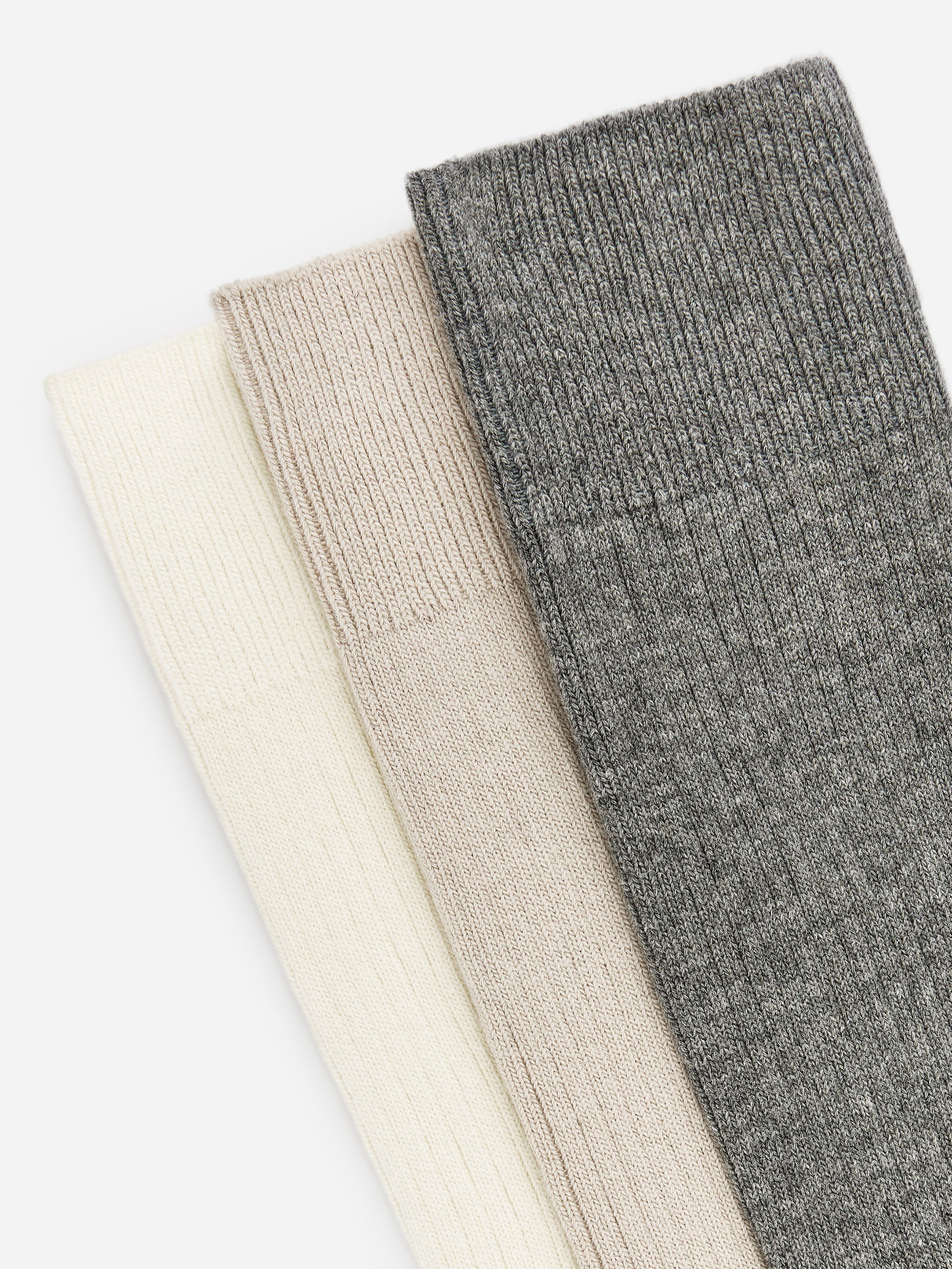 Supima Cotton Rib Socks Set of 3 pairs - Beige - Image 3