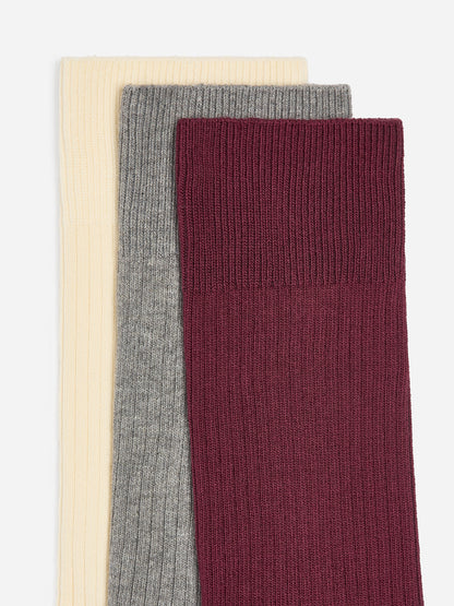 Supima Cotton Rib Socks Set of 3 pairs - Beige - Image 2